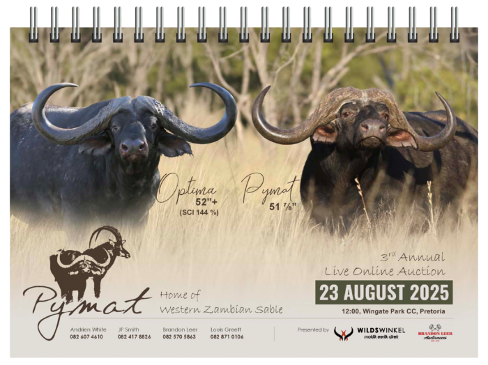 Download your copy of the catalogue here: